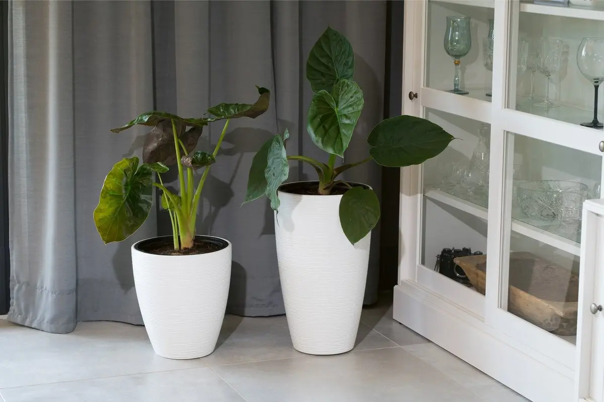 Ghiveci Form Plastic Gobi Slim D38.5 (Black)