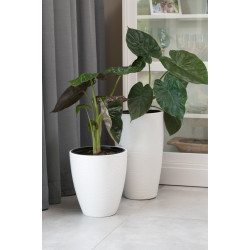 Ghiveci Form Plastic Gobi Slim D38.5 (Green) Thumb