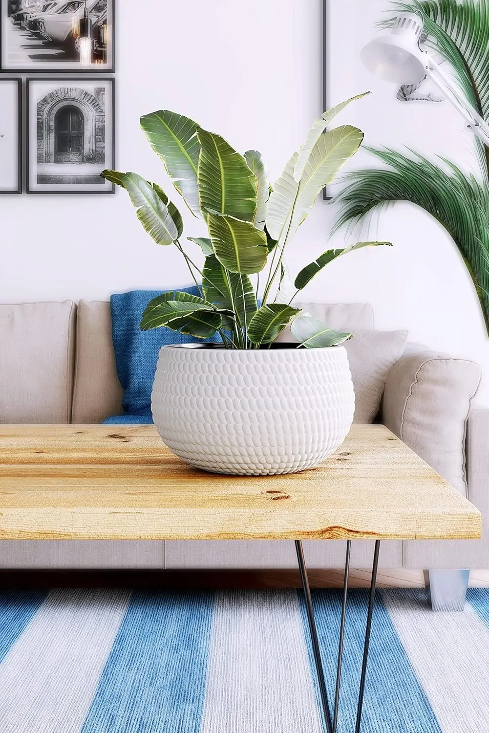 Ghiveci Form Plastic Kula Lina D32cm (Antracit) - 7