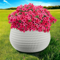 Ghiveci Form Plastic Kula Lina D32cm (White) Thumb