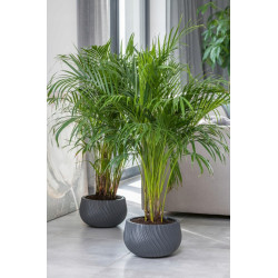 Горшок Form Plastic Kula Mika D32cm (Light Grey) Thumb