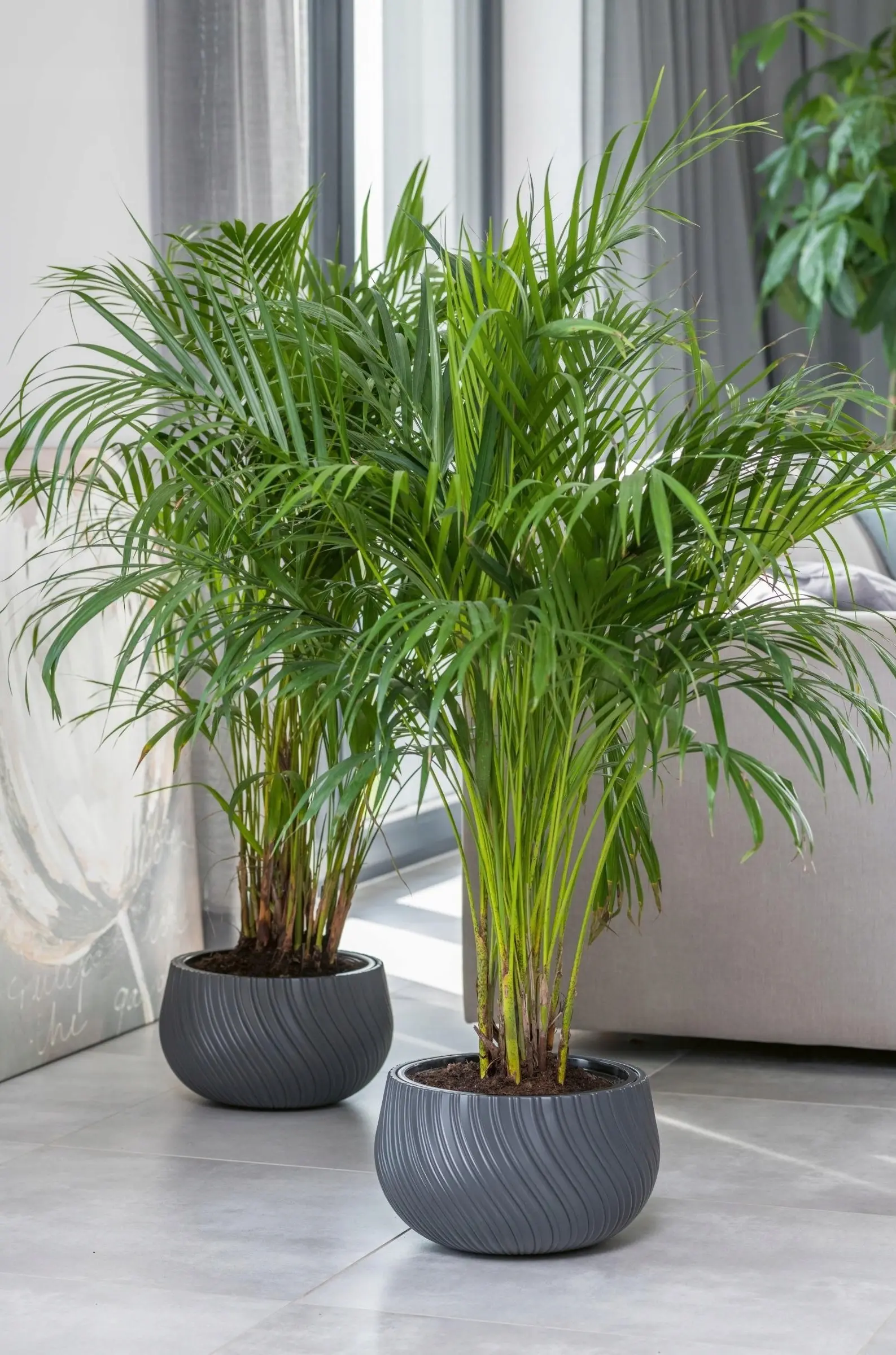 Горшок Form Plastic Kula Mika D32cm (Light Grey)