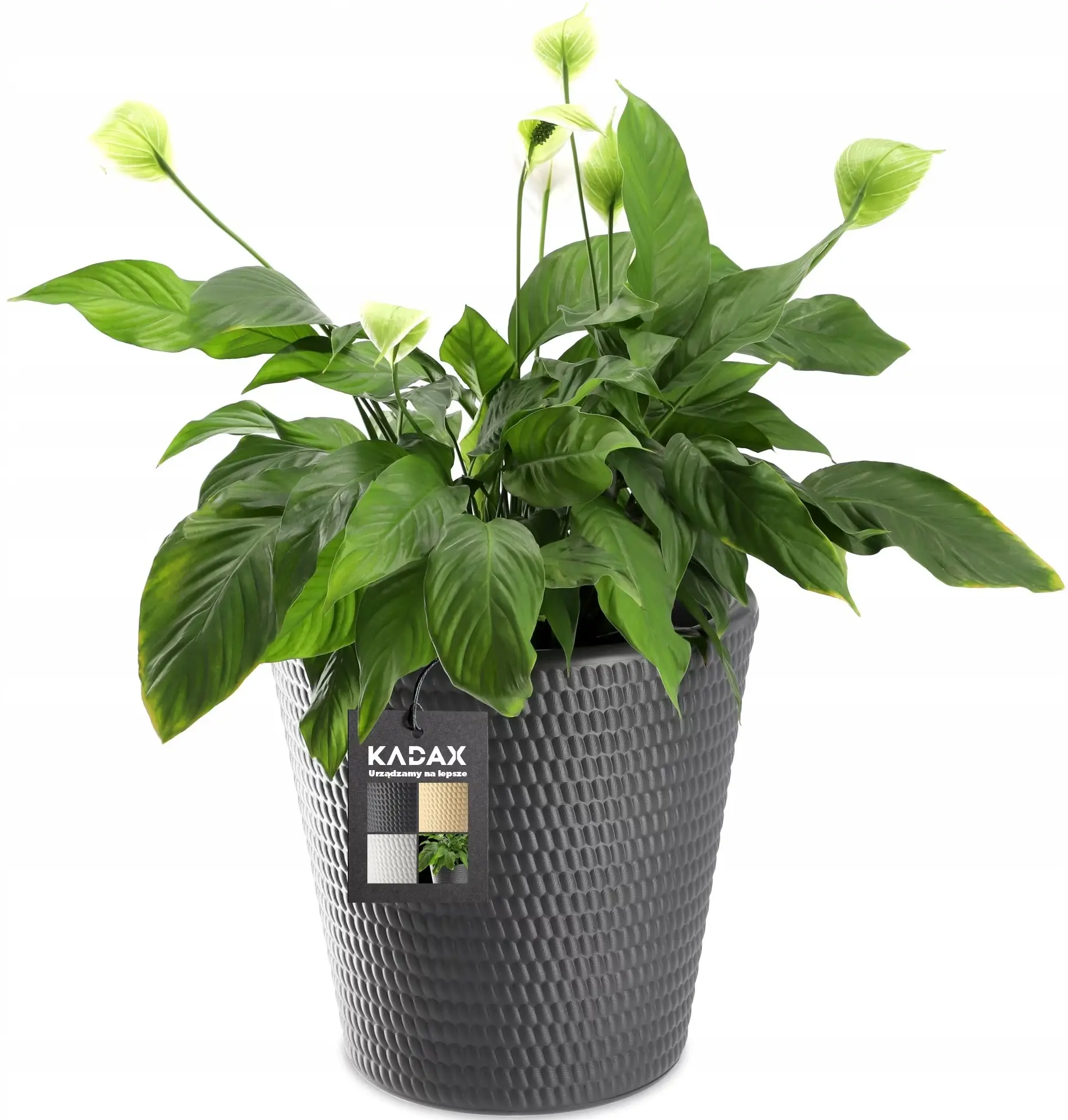 Ghiveci Form Plastic Lina D39.6cm (Anthracit)