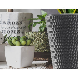 Ghiveci Form Plastic Lina D39.6cm (Anthracit) Thumb