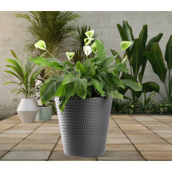 Ghiveci Form Plastic Lina D39.6cm (Anthracit) Thumb