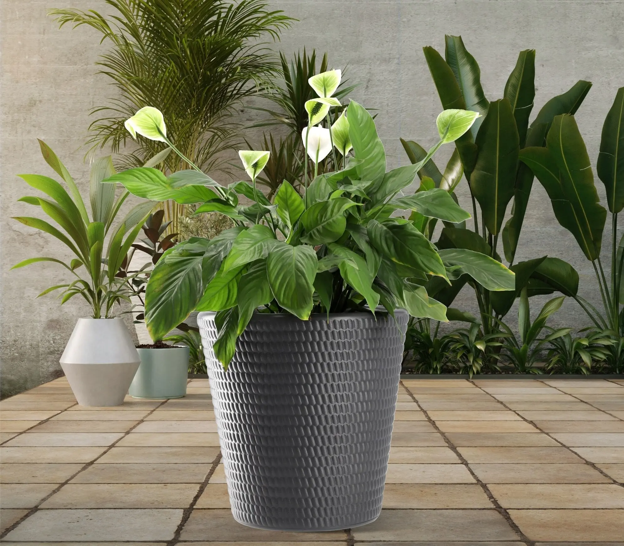 Ghiveci Form Plastic Lina D39.6cm (Anthracit)