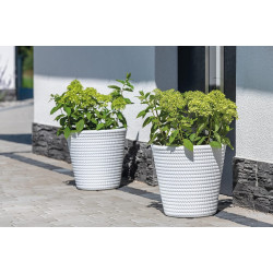 Ghiveci Form Plastic Lina D39.6cm (Cream) Thumb