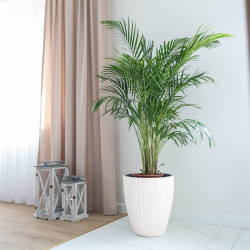 Ghiveci Form Plastic Mika D38.5cm (White) Thumb