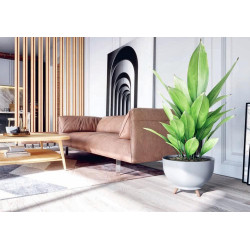 Ghiveci Form Plastic Misa Satina D39cm (Platinum) Thumb