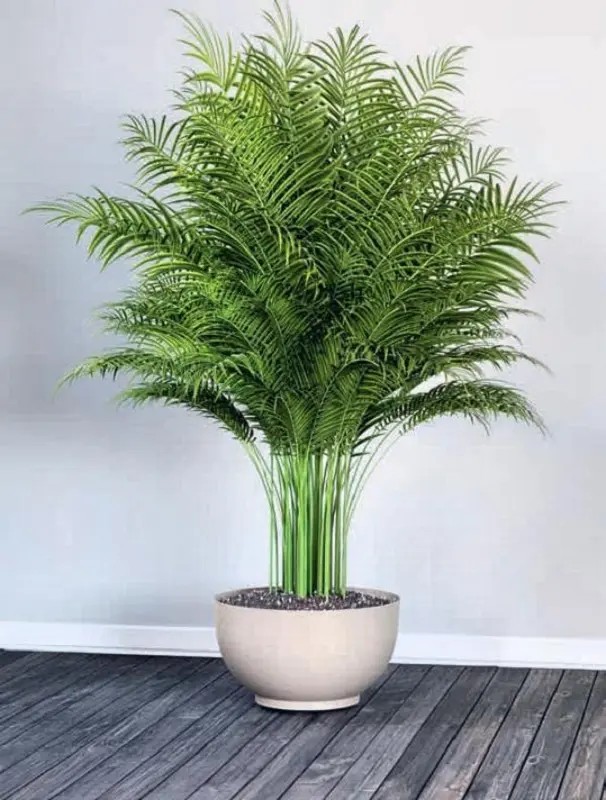 Ghiveci Form Plastic Misa Satina Eco D39cm (Platinum)