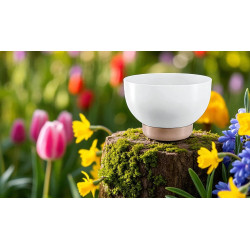 Горшок Form Plastic Misa Satina Eco D39cm (White) Thumb