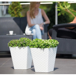 Ghiveci Form Plastic Rattana L39 (Antracit) Thumb