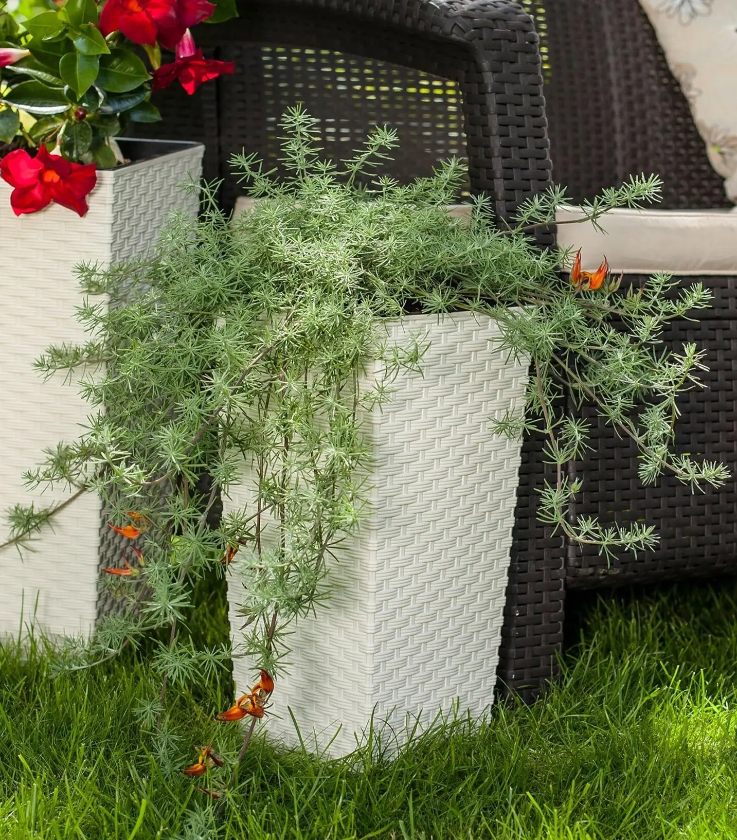 Ghiveci Form Plastic Rattana Slim L29 (White)