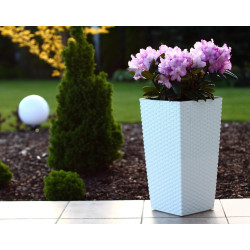 Ghiveci Form Plastic Rattana Slim L29 (White) Thumb