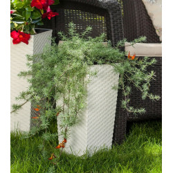 Ghiveci Form Plastic Rattana Slim L34 (White) Thumb