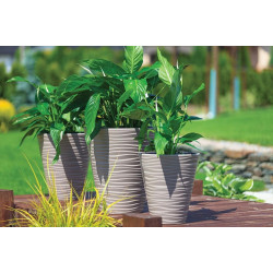 Ghiveci Form Plastic Sahara Dunes Slim D29.5 (Mocha) Thumb