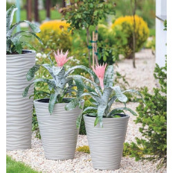 Ghiveci Form Plastic Sahara Dunes Slim D29.5 (Mocha) Thumb