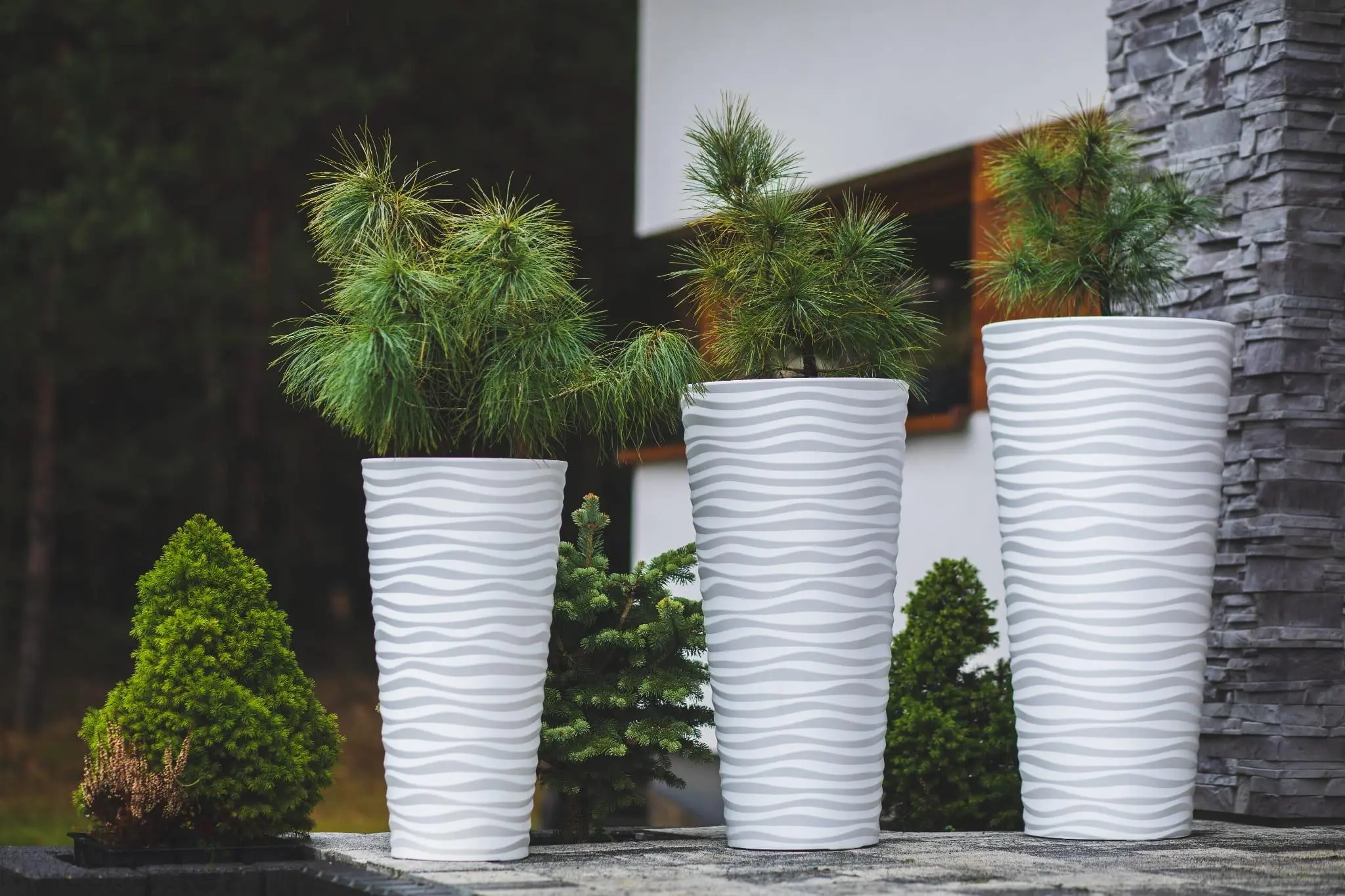 Ghiveci Form Plastic Sahara Dunes Slim D39.5 (White)