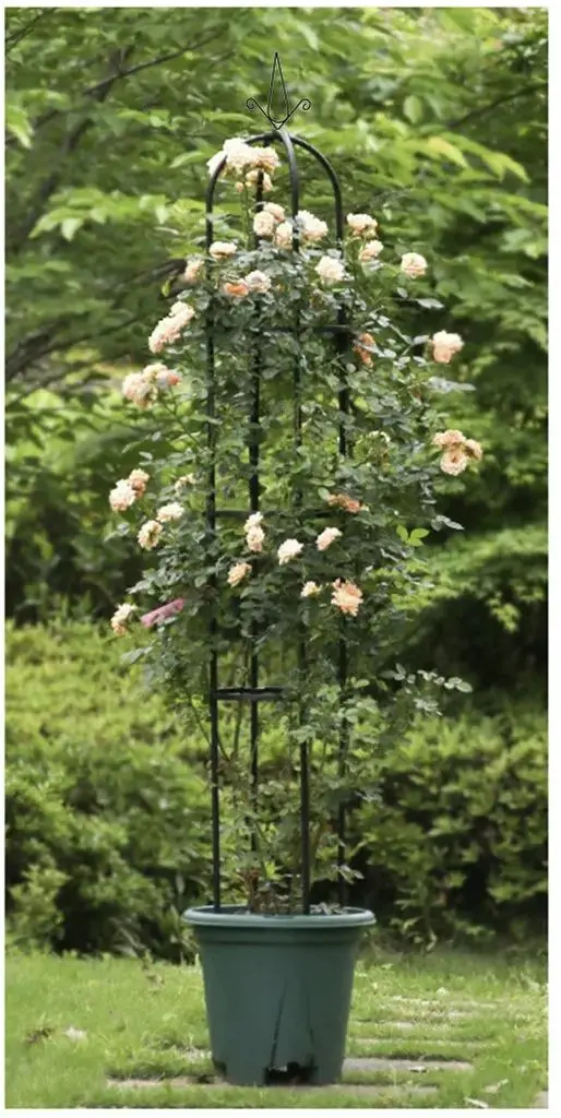 Suport pentru flori Gardlov 21029 (Black) - 5