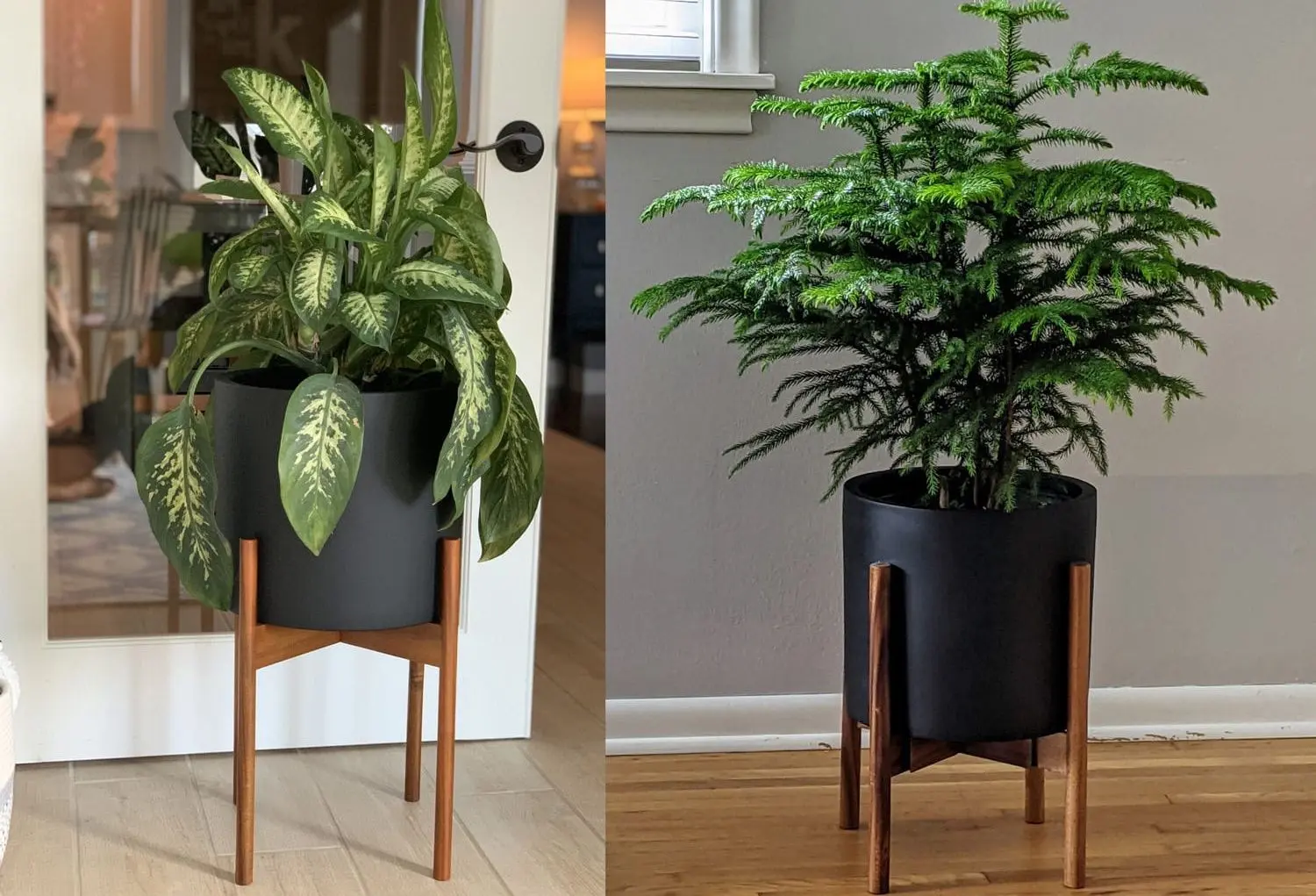 Ghiveci de flori Gendt L 10038479 (Black) - 3