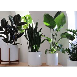 Цветочный горшок Gendt L 10038480 (White) Thumb