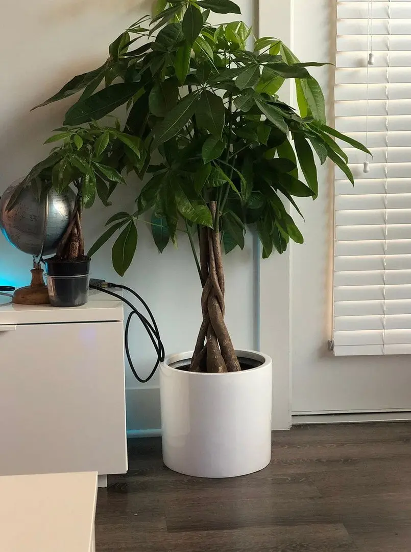 Ghiveci de flori Gendt L 10038481 (White) - 4