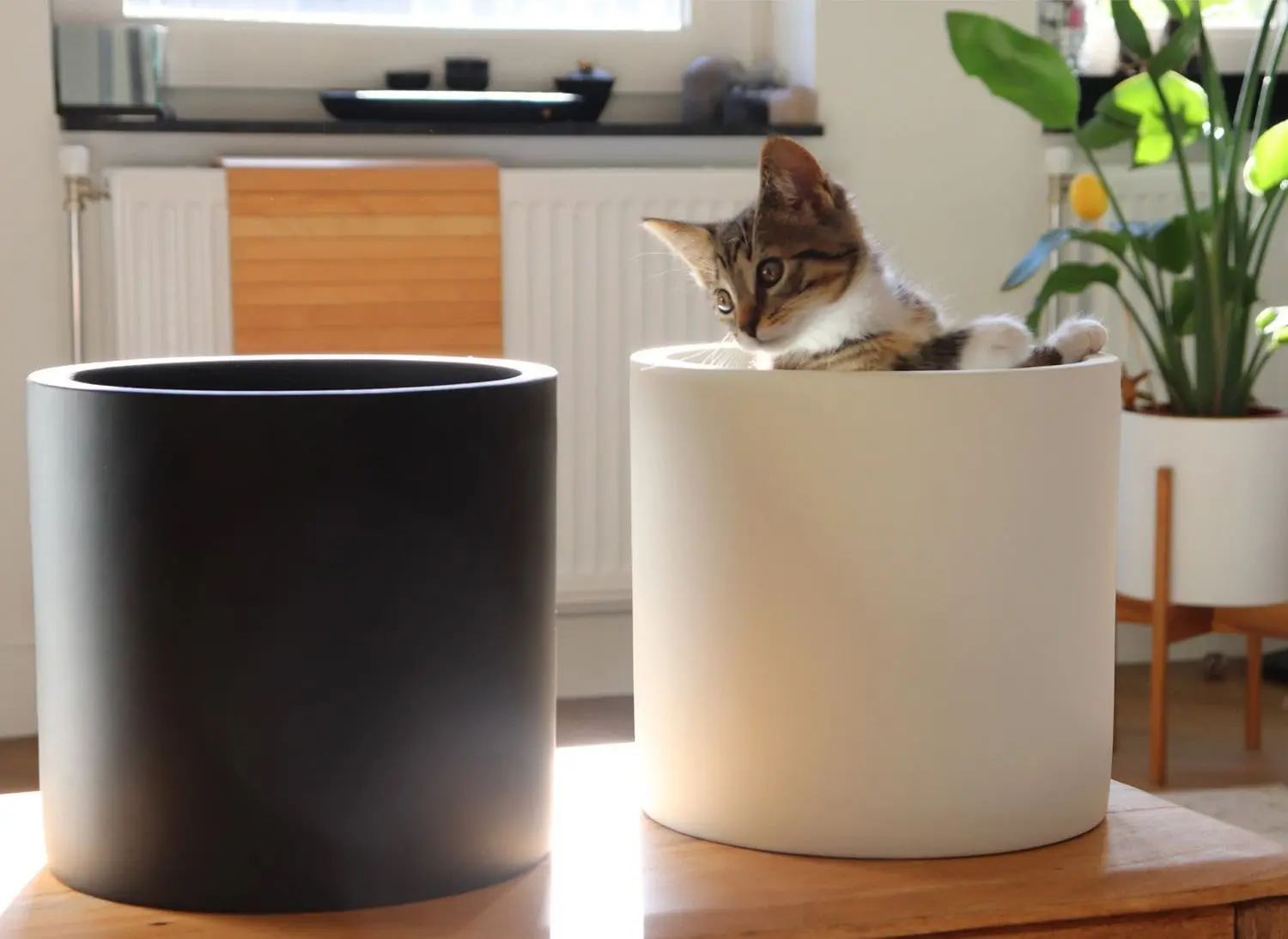 Ghiveci de flori Gendt M 10038476 (Black) - 4