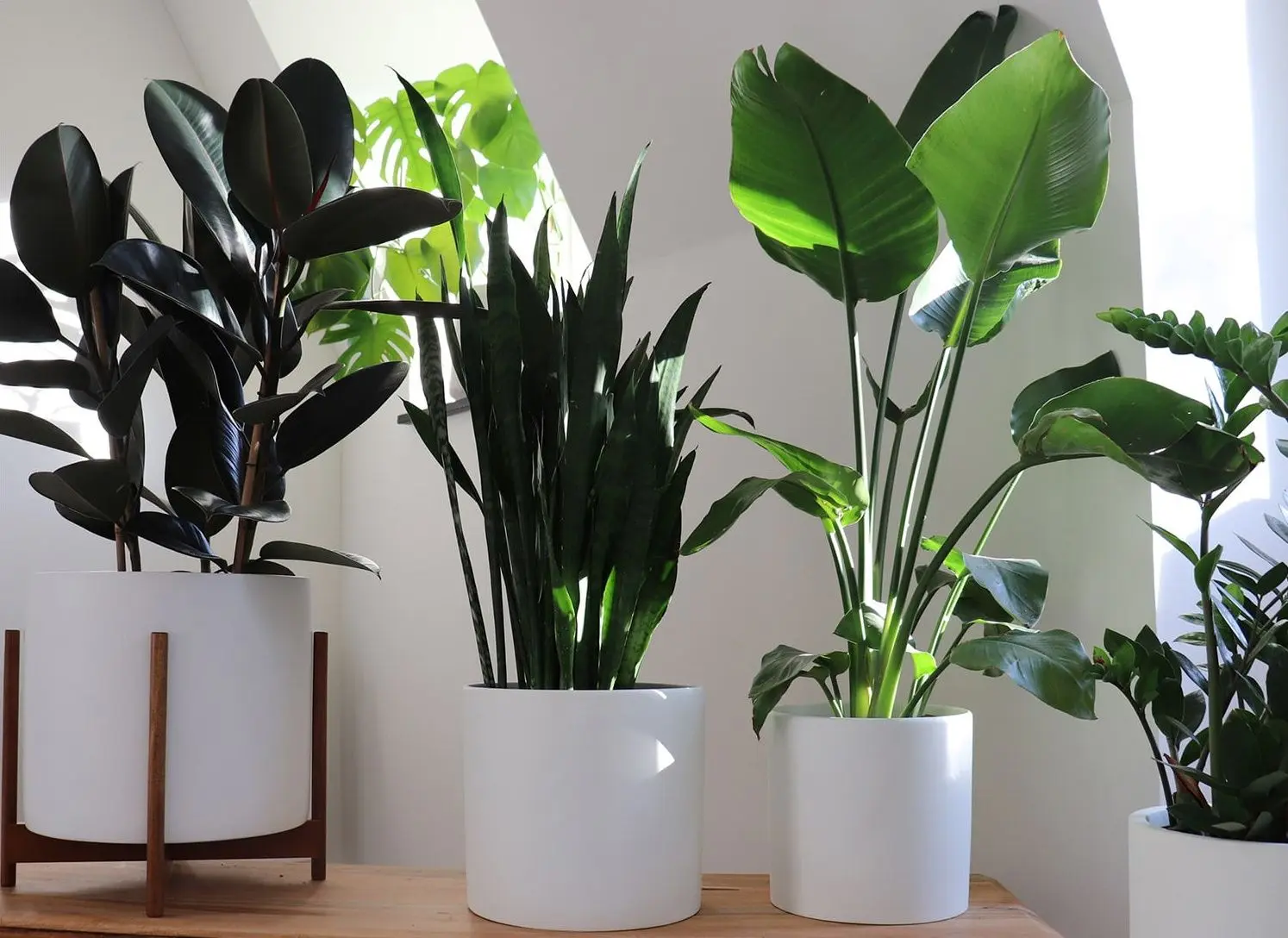 Ghiveci de flori Gendt M 10038477 (White) - 3