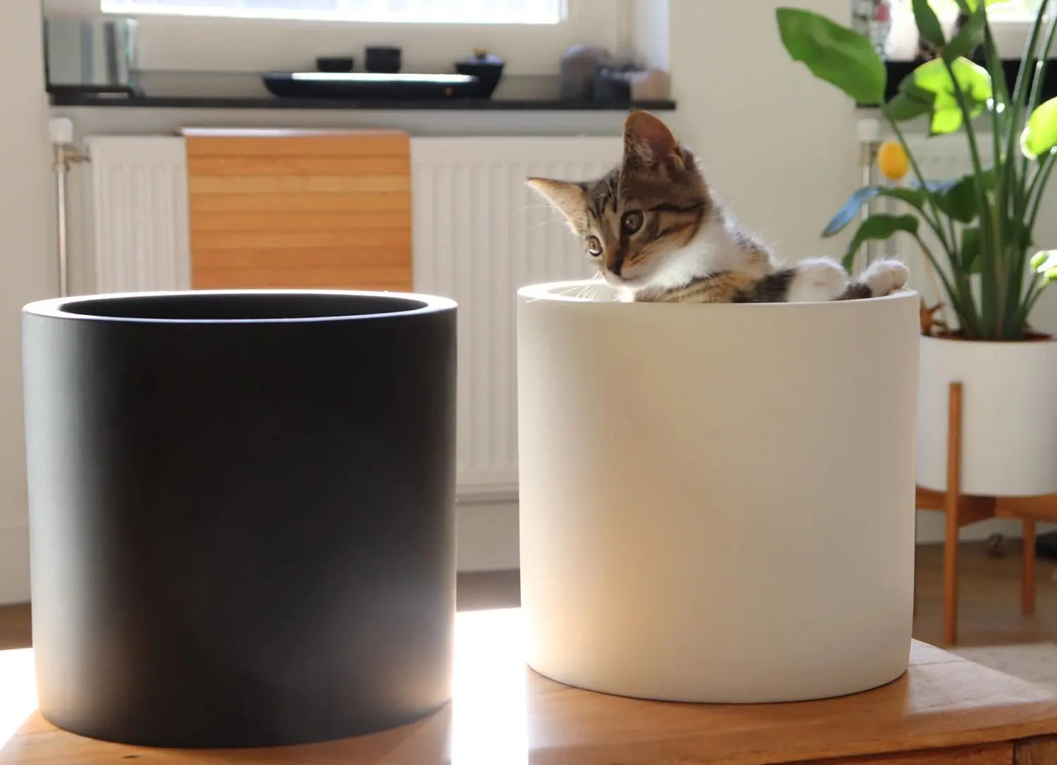 Ghiveci de flori Gendt M 10038477 (White) - 4