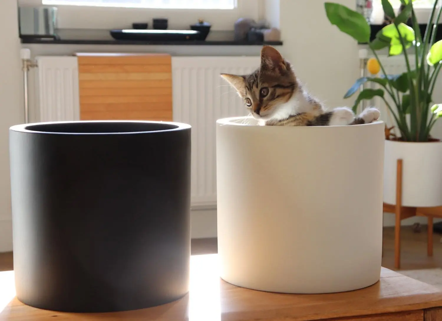 Ghiveci de flori Gendt XL 10038465 (Black) - 4