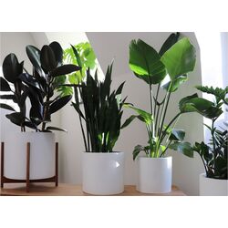 Цветочный горшок Gendt XL 10038466 (White) Thumb