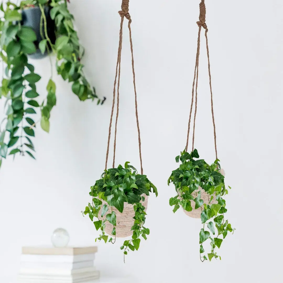 Ghiveci suspendabil H&S Finge 18x16cm (Beige) - 3