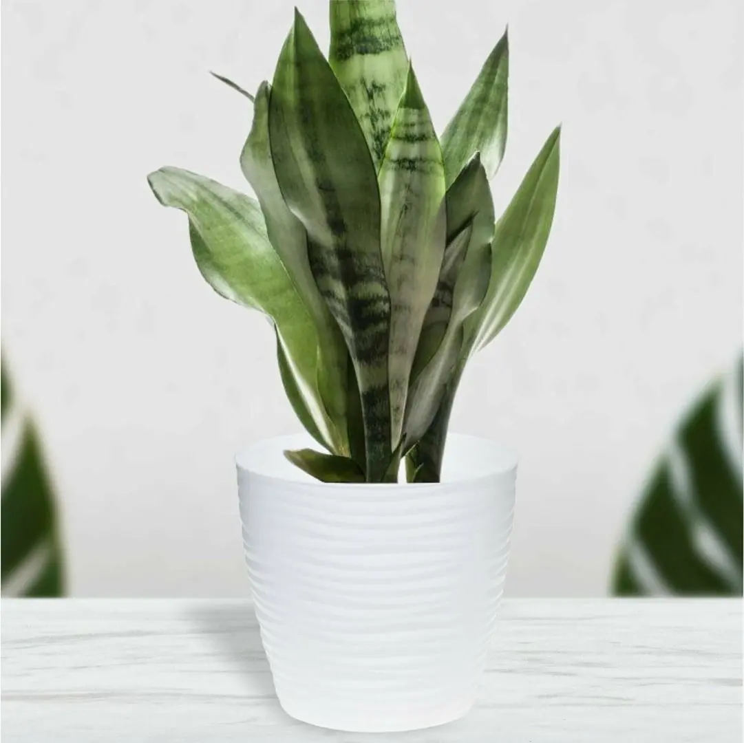 Кашпо Idea М3069 Дюна (White) - 3