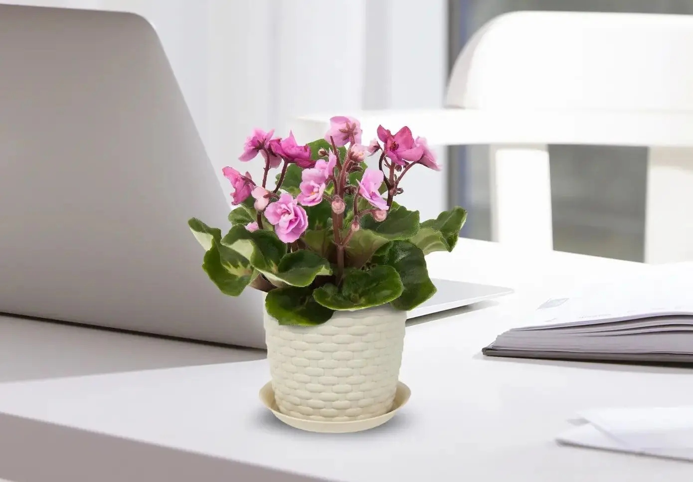 Ghiveci Idea М3080 Rotang (White) - 3