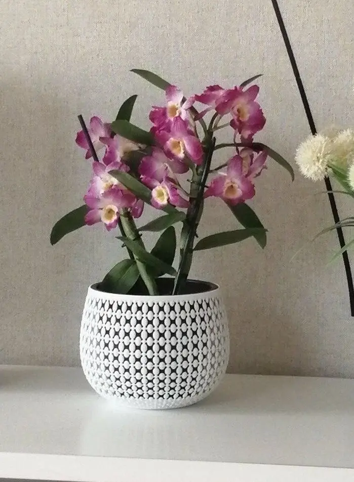 Ghiveci Idea М3100 Pirula (White) - 6