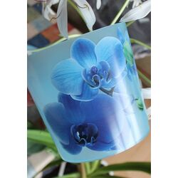 Ghiveci Idea М3106 Deko (Blue) Thumb