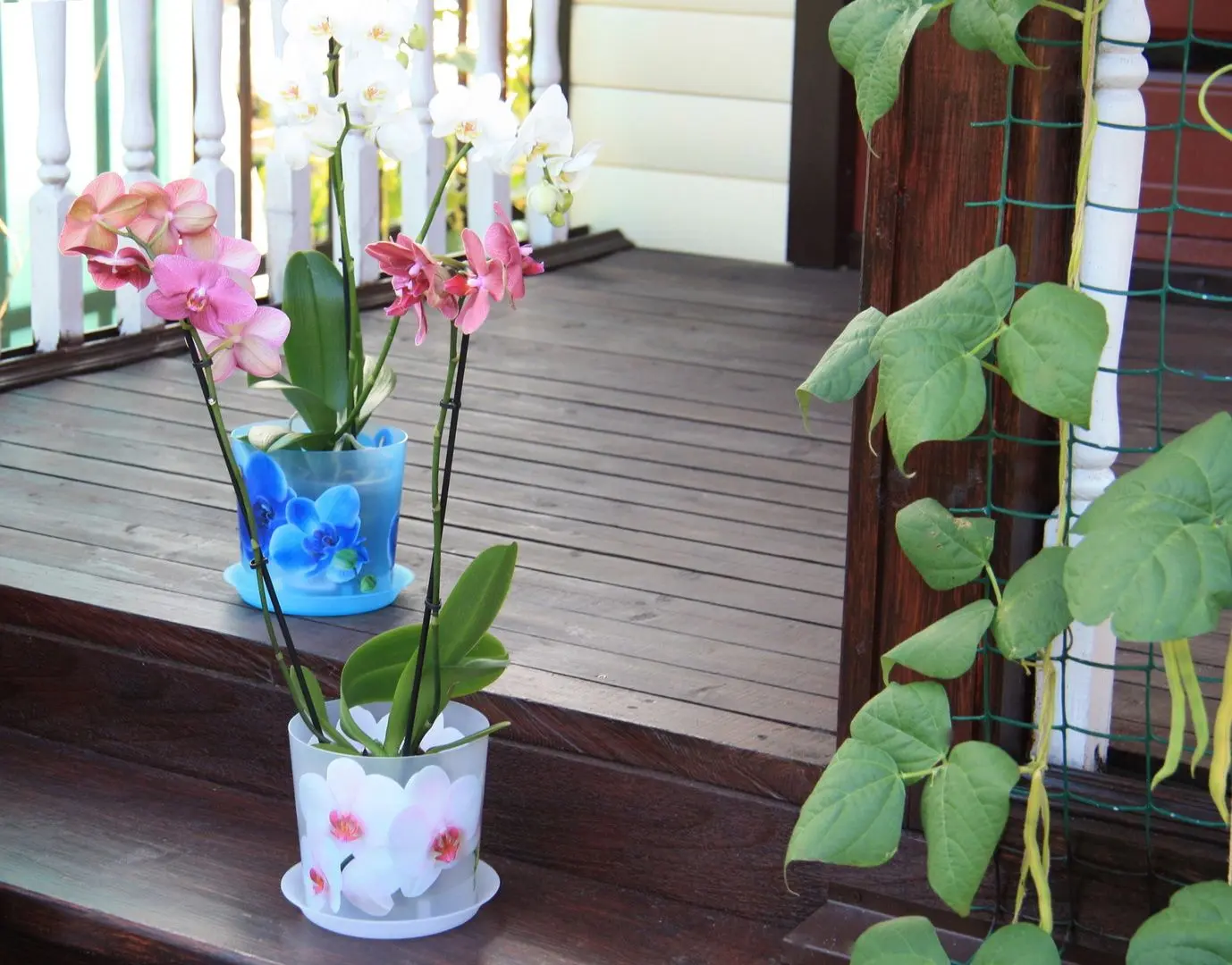 Ghiveci Idea М3106 Deko (Blue) - 3