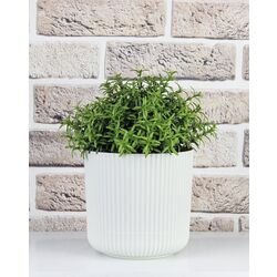 Ghiveci Idea М3181 Velvet (White) Thumb