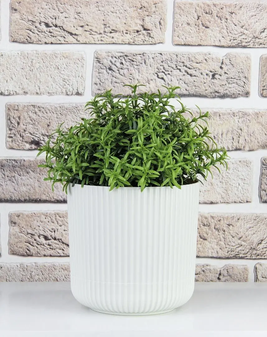 Ghiveci Idea М3181 Velvet (White) - 4