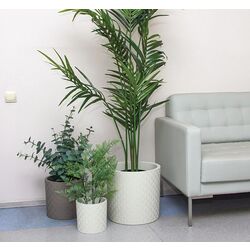 Ghiveci Idea Etna М3184 (White) Thumb