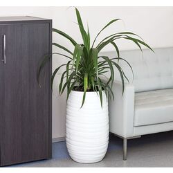 Ghiveci Idea М3412 Layn Thumb