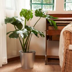 Ghiveci Ikea Akerbar 24cm (Oţel Inoxidabil) Thumb