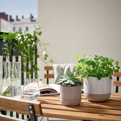 Ghiveci Ikea Buskkaprifol interior/exterior 9cm (Gri) Thumb