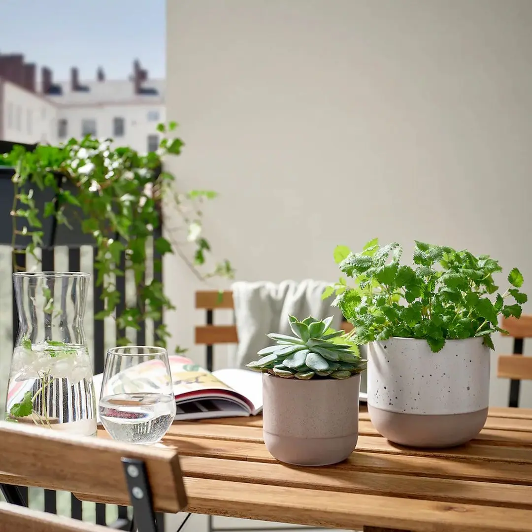 Ghiveci Ikea Buskkaprifol interior/exterior 9cm (Gri)