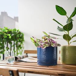 Ghiveci Ikea Chiafron 15cm (Albastru inchis) Thumb