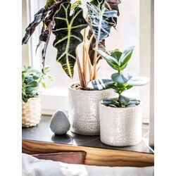 Ghiveci Ikea Chiafron interior/exterior 15cm (Alb) Thumb