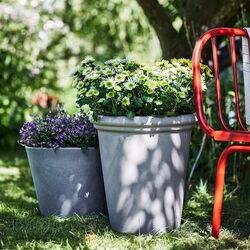 Ghiveci Ikea Chilipeppar pentru interior/exterior 32cm (Bej) Thumb