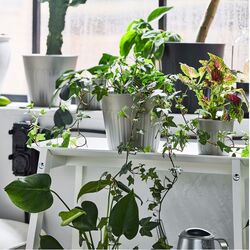 Горшок Ikea Citronmeliss для дома/улицы 15cm (Серый) Thumb