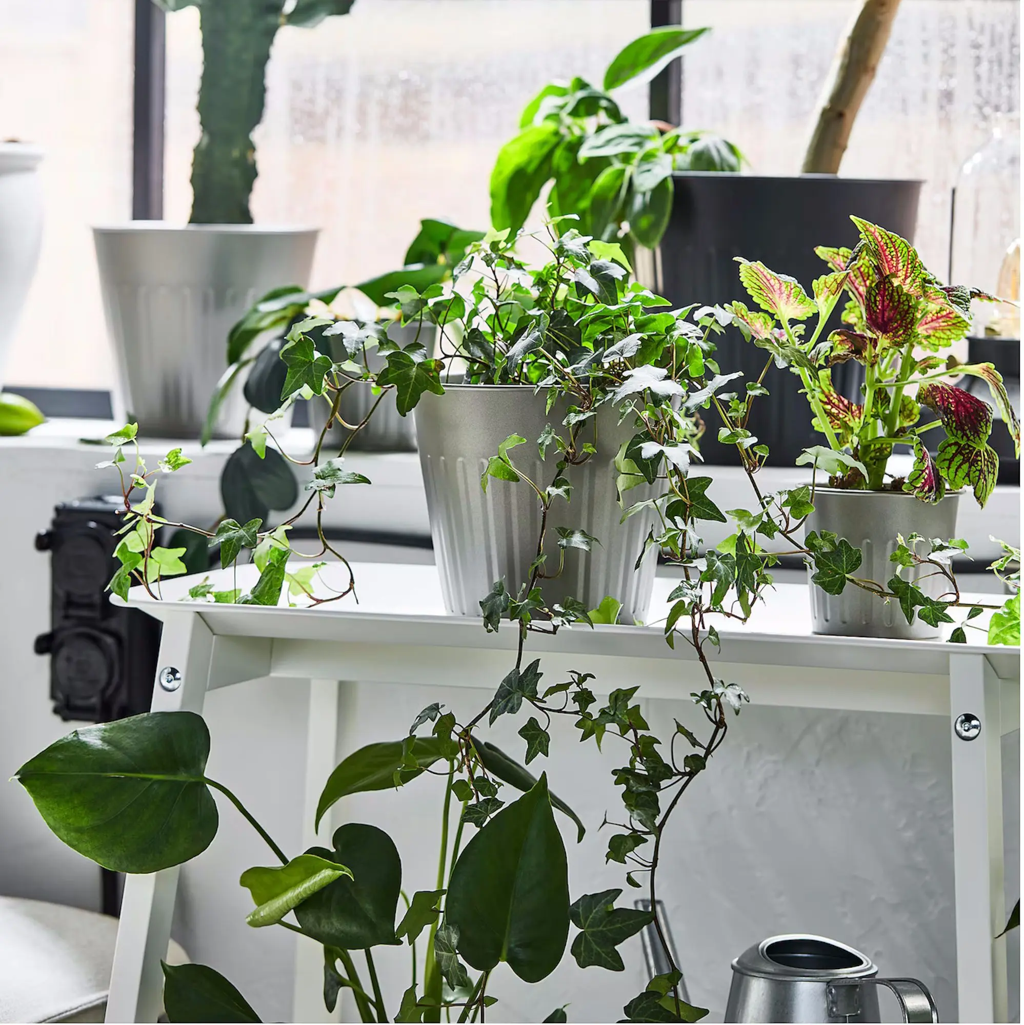 Горшок Ikea Citronmeliss для дома/улицы 15cm (Серый)