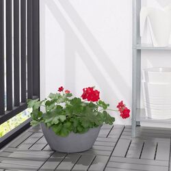 Горшок Ikea Citruskrydda для дома/улицы 33cm (Серый) Thumb